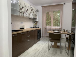 Central Alexa Apartament, Bacău
